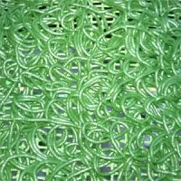 Drying-System-Spirulina.jpg